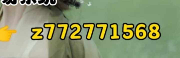 专注量化自动