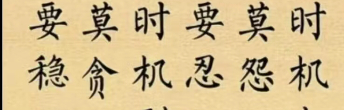 右侧的小猫