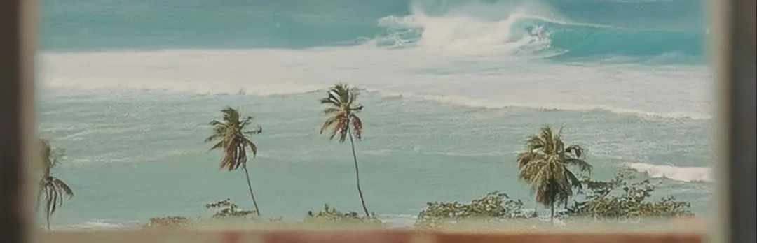 白杳杳