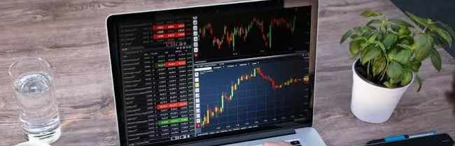 tuan forex