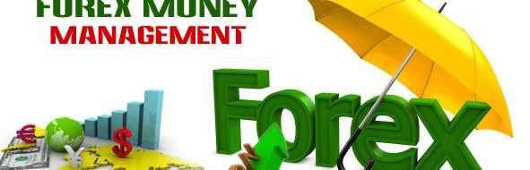 Profit Fx Trader