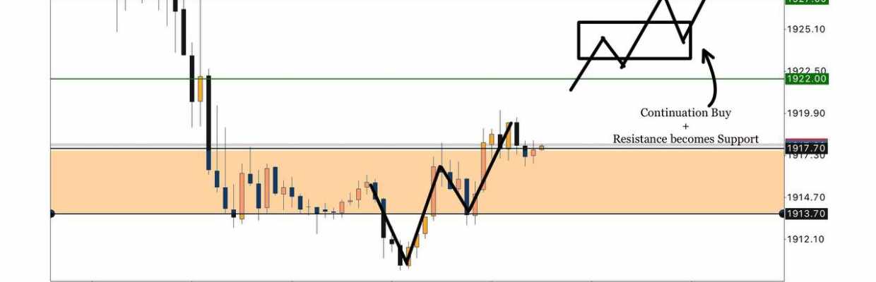 Black 🐈‍⬛ Trader