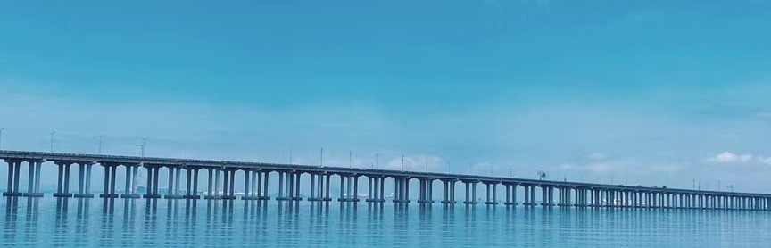 价格行为交易者