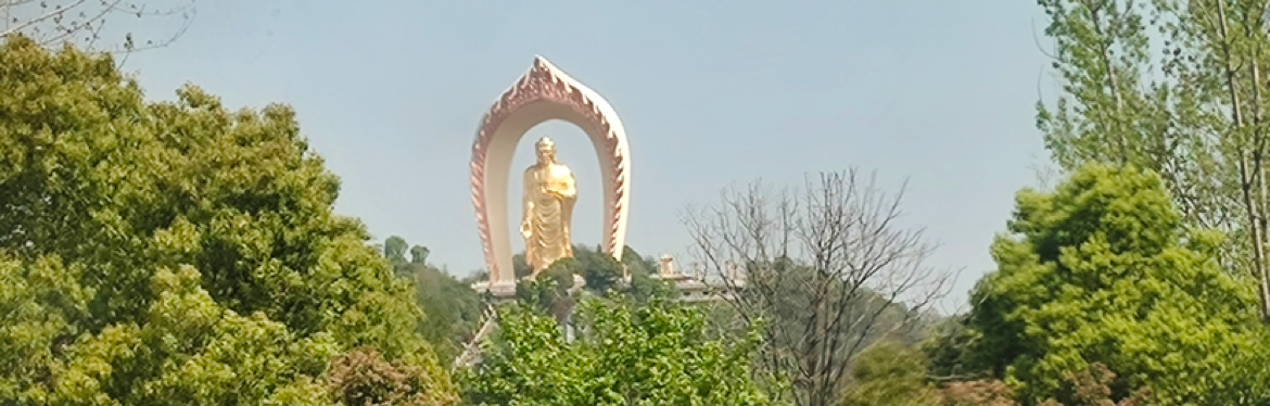 龙龙家族～龙爷