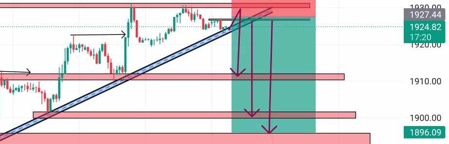 Pips And Profits
