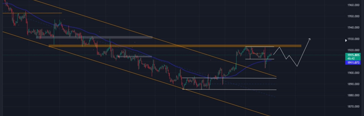 GOLD Trangding