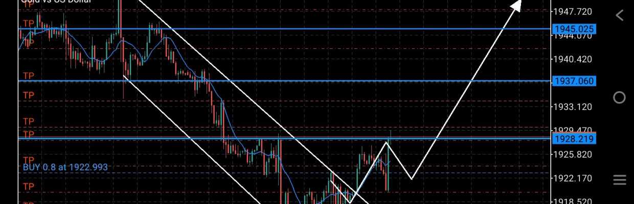 💠💠 Blue pips 💠💠😎