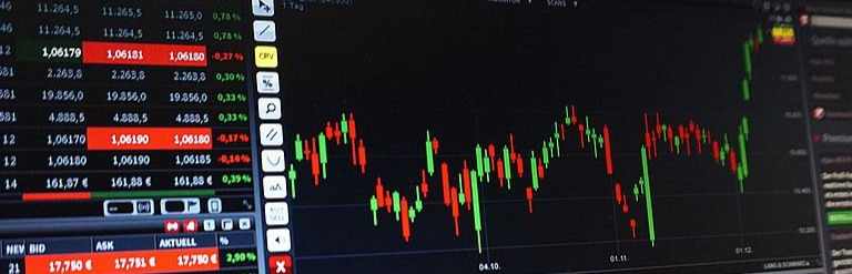 Forex Market King