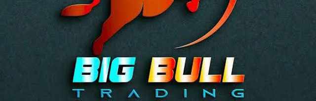 Forex Big Bull Trader