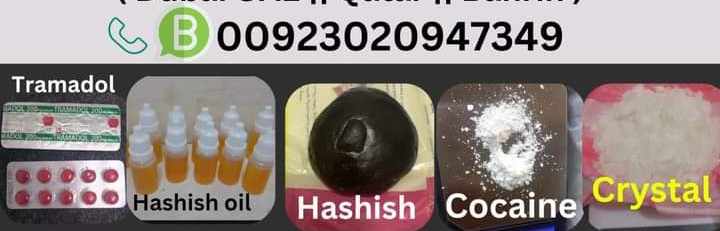 الشیخا