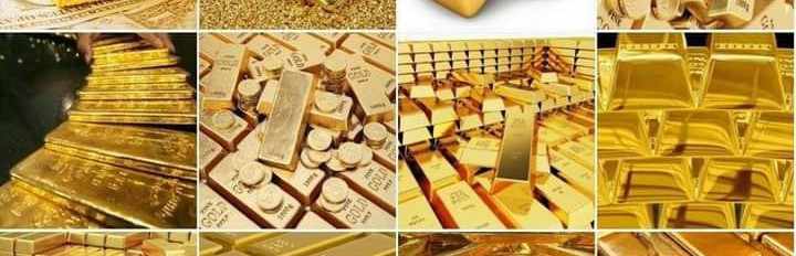 FX Gold expert