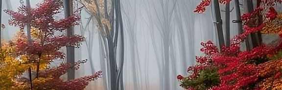 Arshad6752