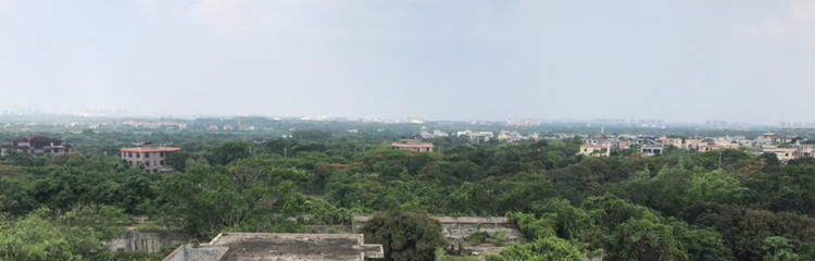 引领未来