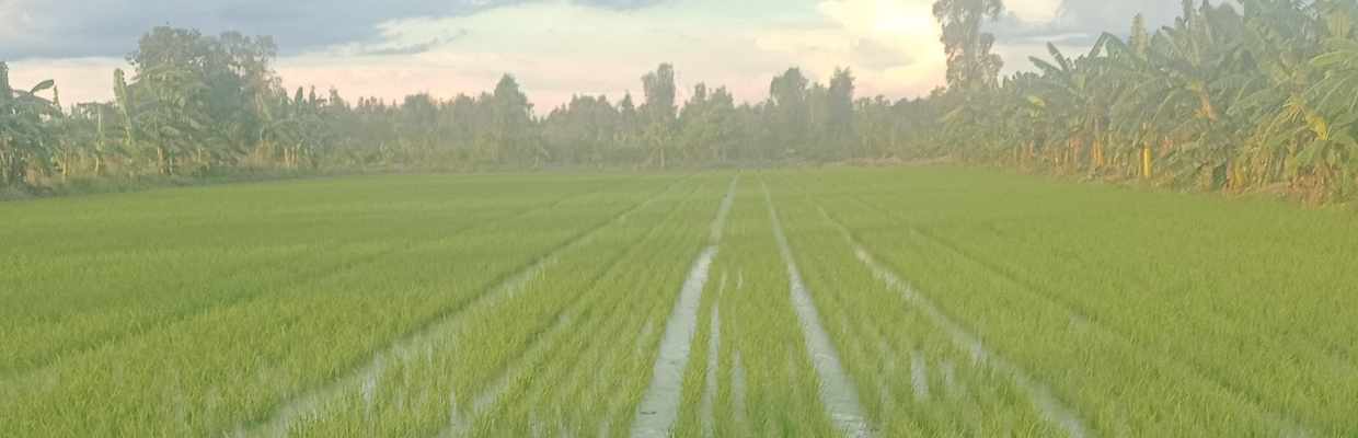 Gunawan sarif petani tulen