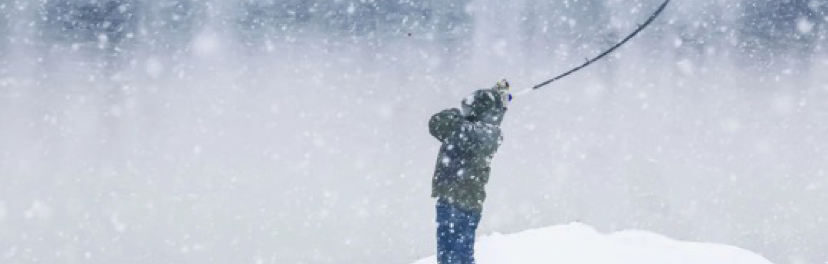 独钓·寒江雪