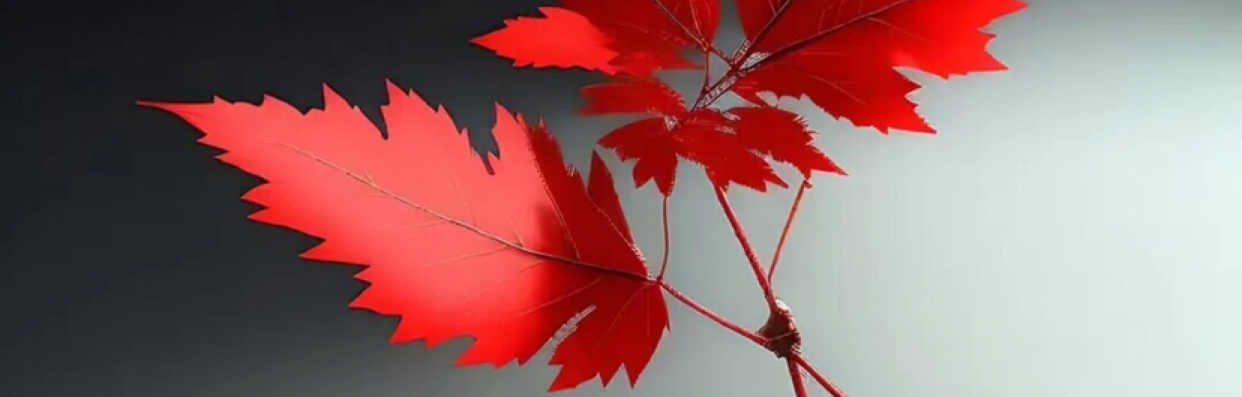 Forex_Akio