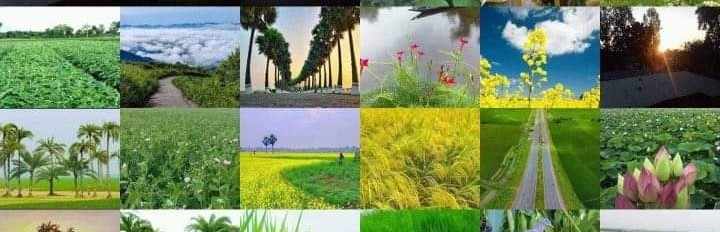 Kamrul Islam