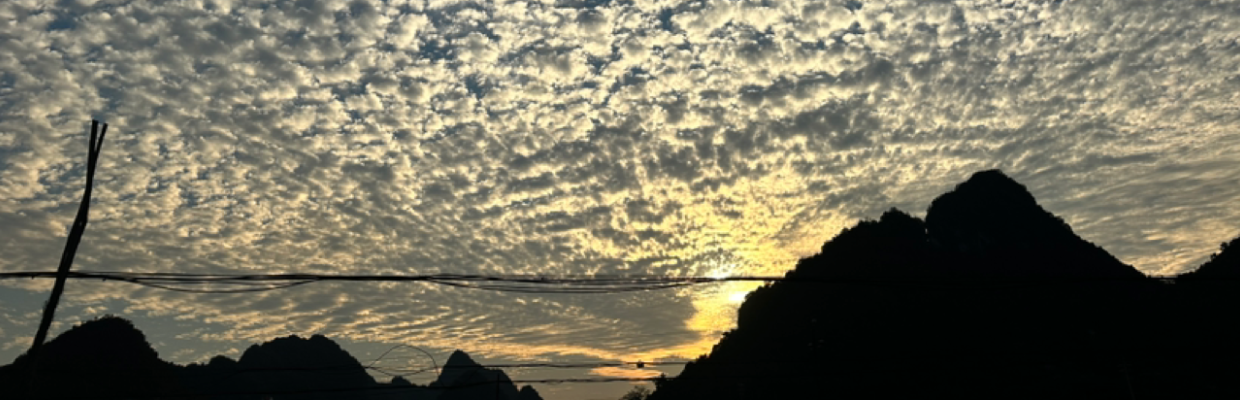 李姐XA85691