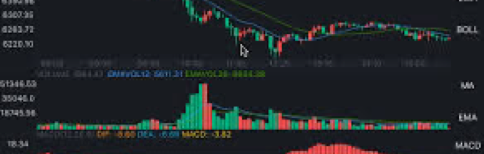 千金策金