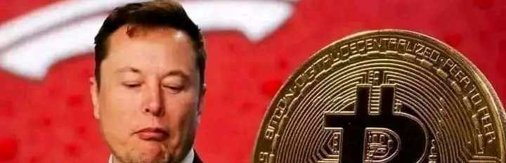 Elon Musk Reave