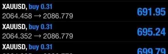 Professional trader 1