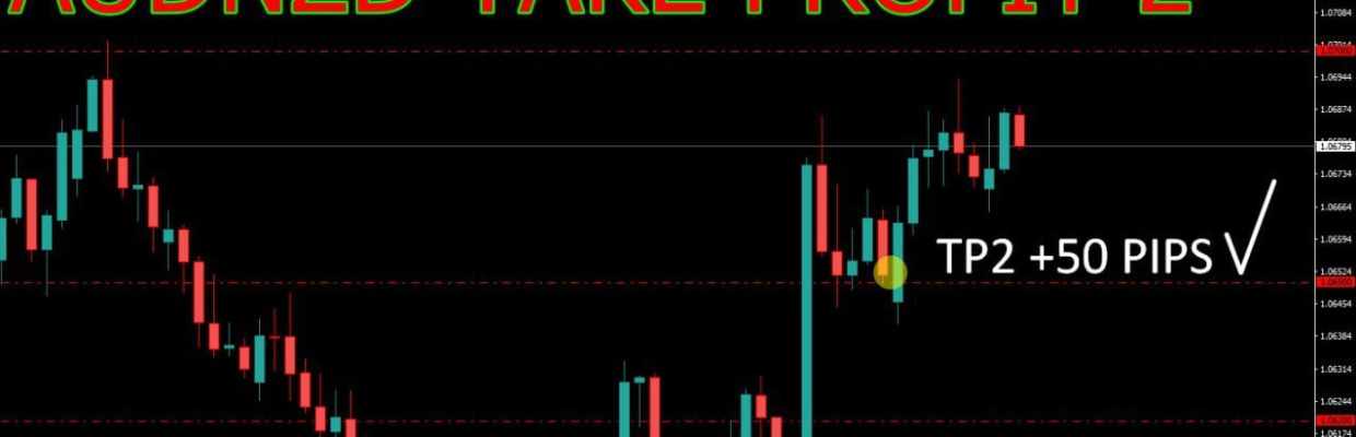trader Master