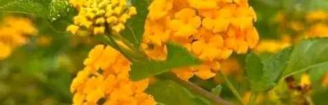 Abdulaziz22