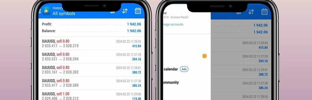 Forex Trading expert