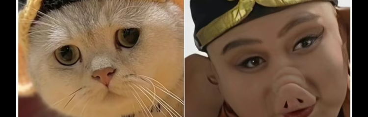 老🐈猫钓鱼