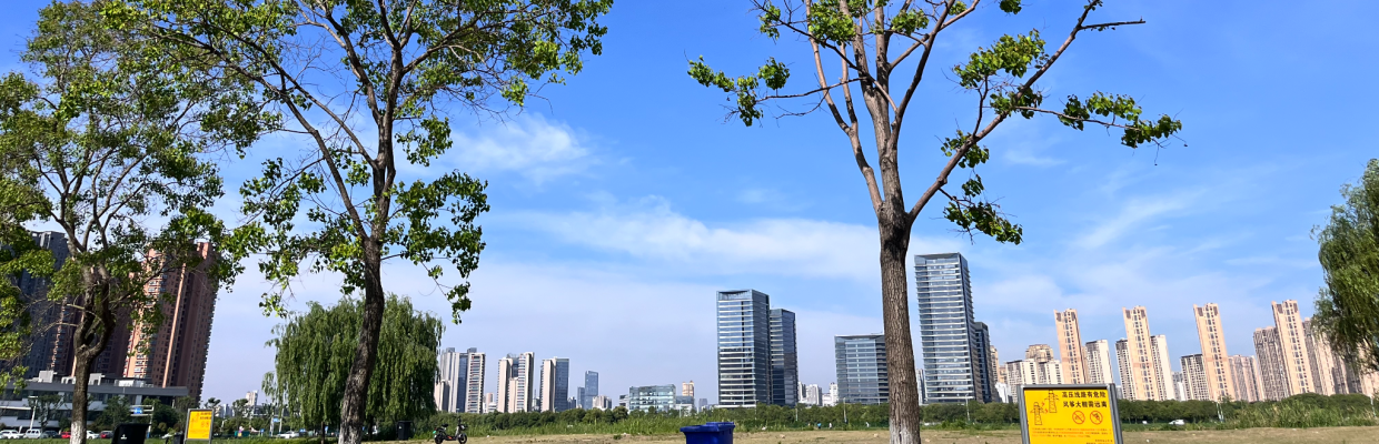 劉建華