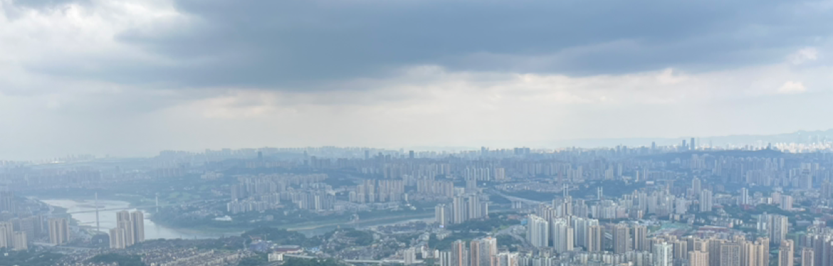 汇市小刘哥