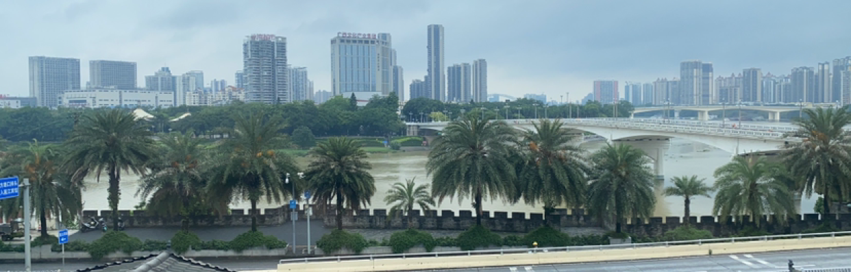 不念往来