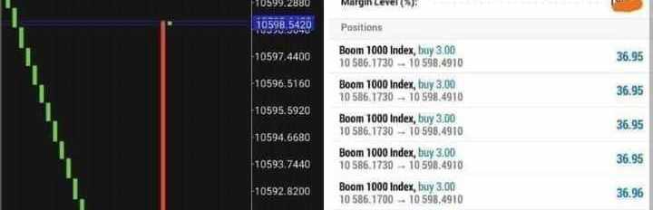 @Forex_King113