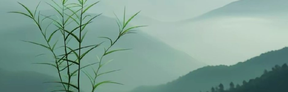 GouYiPeNG