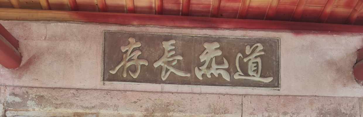 黄金kk神