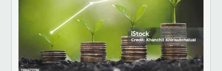 company Investment