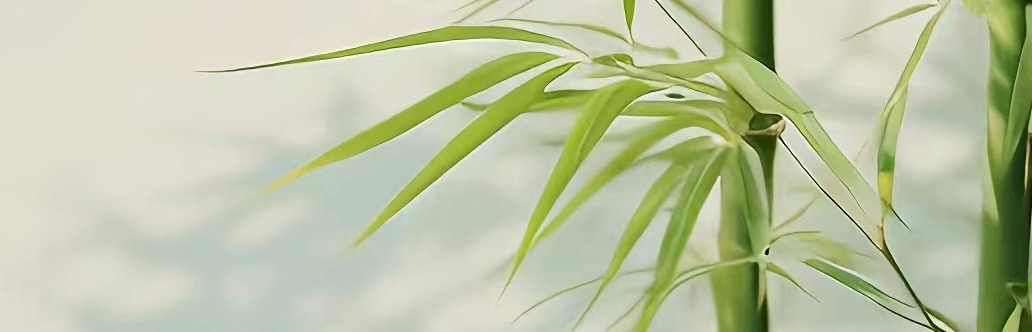 山城老刁民