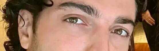 Gianluca Ginoble lovers