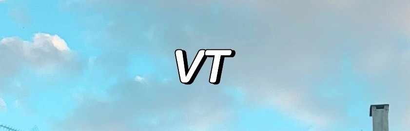 VT招财猫🌞张晴