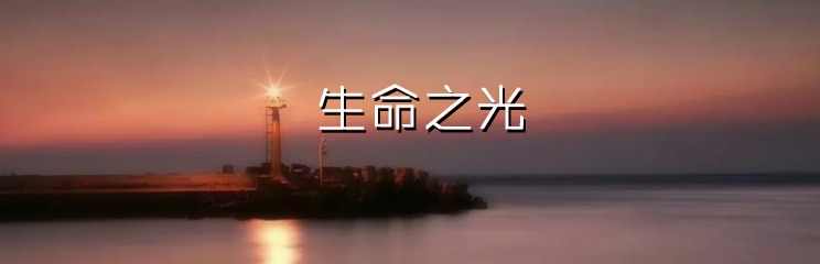 生命之光