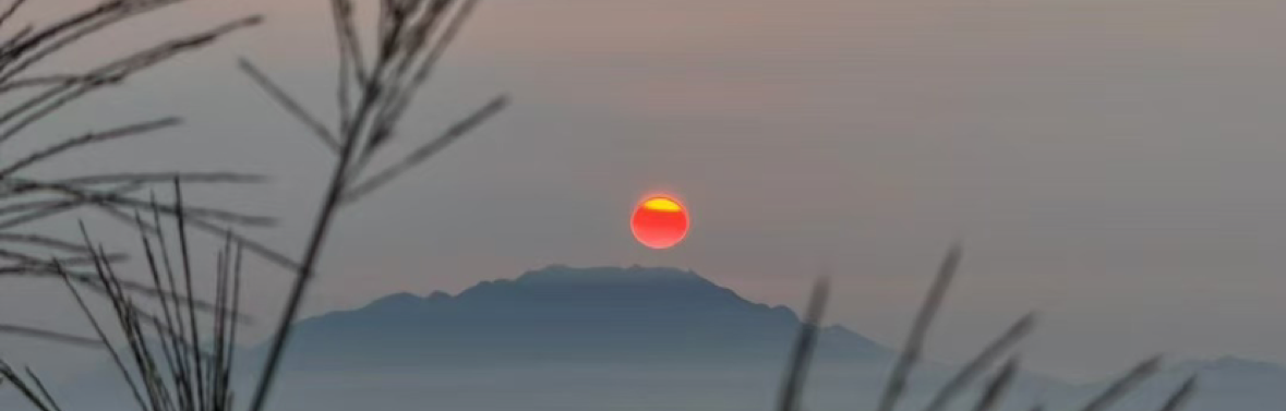 梦想成于汇市