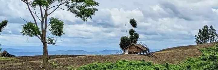 Agriculture Farm কৃষি খামার