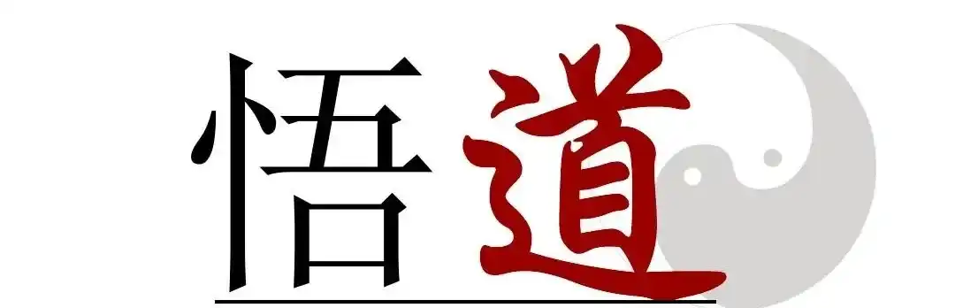巴菲鱼
