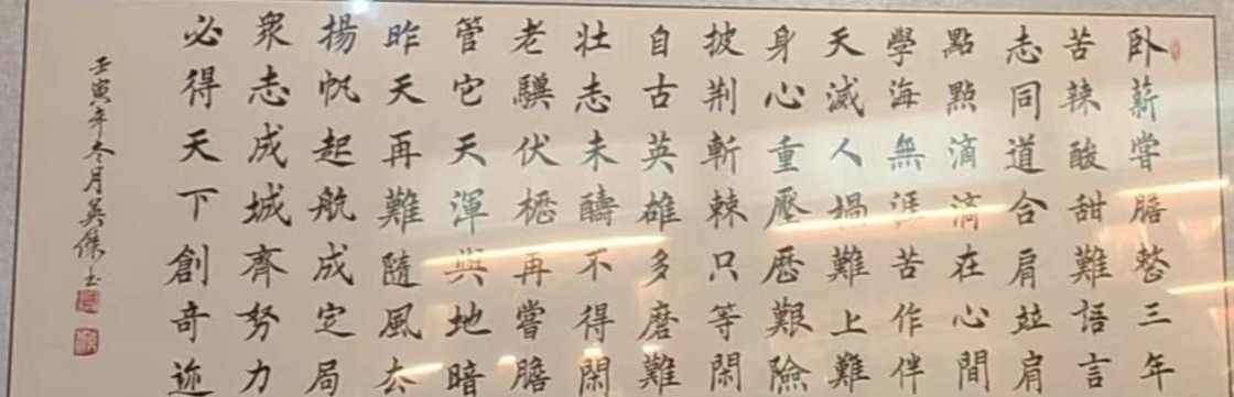 锦鲤护体