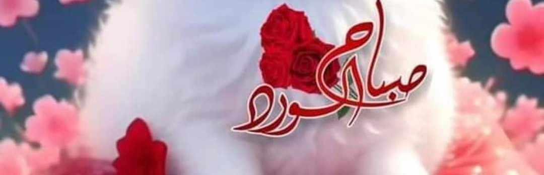 الميتادور المصرى