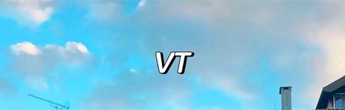 VT🤝Hannah招财