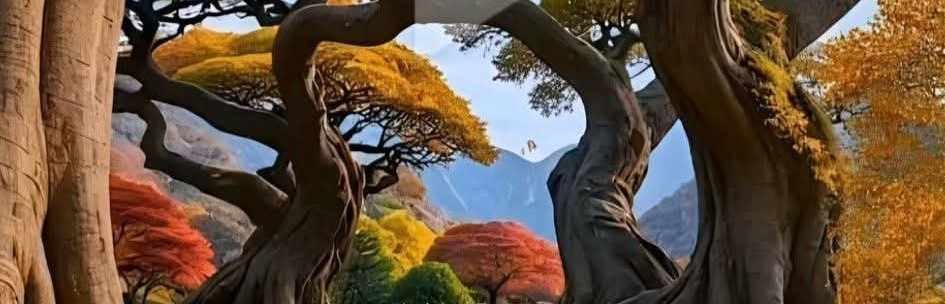 汇市一棵树