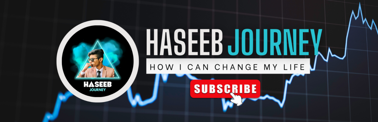 Haseeb Journey