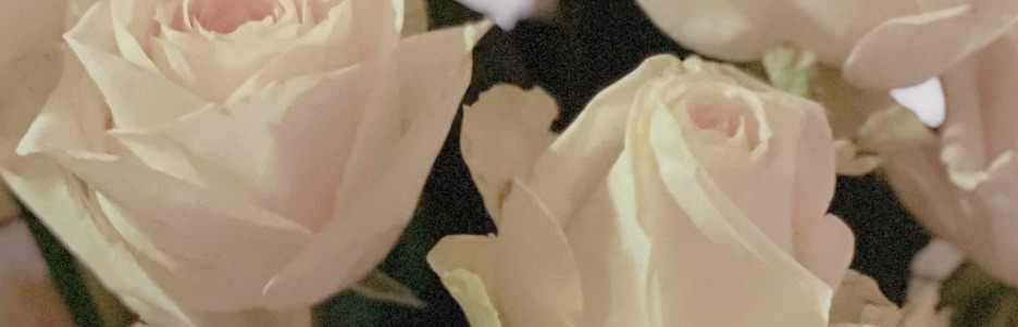 芸芸77