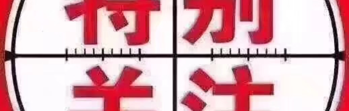 A金帝财神